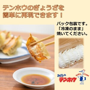 ぎょうざ 3パック[12粒×3パック] / テンホウ 冷凍 餃子 信州 長野県 諏訪市 諏訪 [21-07]