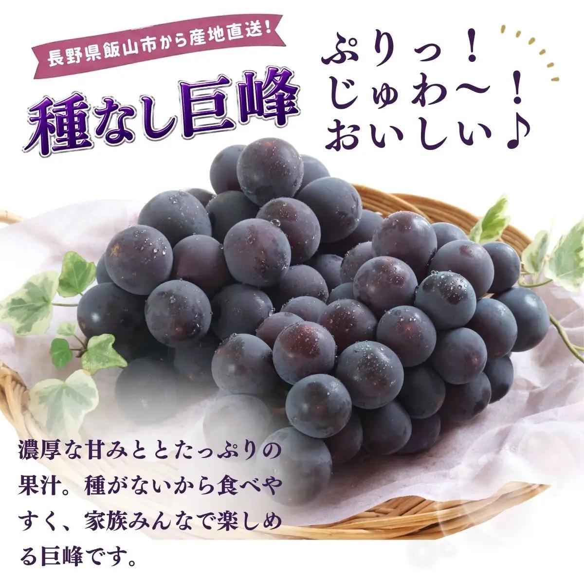種なし巨峰 2房（約1kg以上）《2026年9月上旬より順次発送》｜木原果樹園