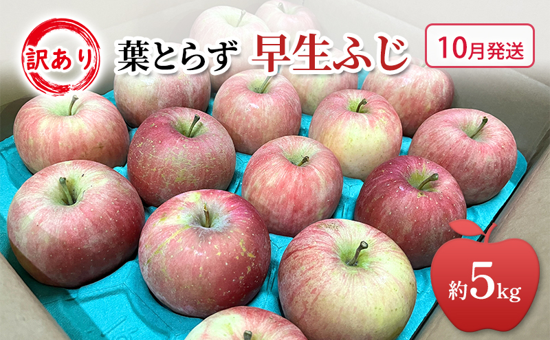 10月発送 家庭用 訳あり 早生ふじ 約 5kg りんご リンゴ 林檎 果物 フルーツ わけあり 青森