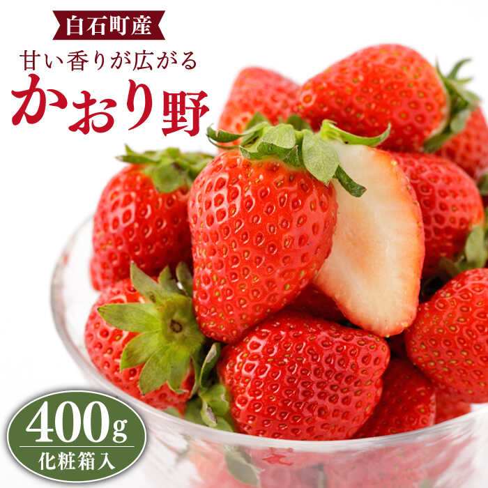 【先行予約】【農家直送】上品な香りの「かおり野」400g（化粧箱入り）【StrawberryFarm-K】 [IBJ005]