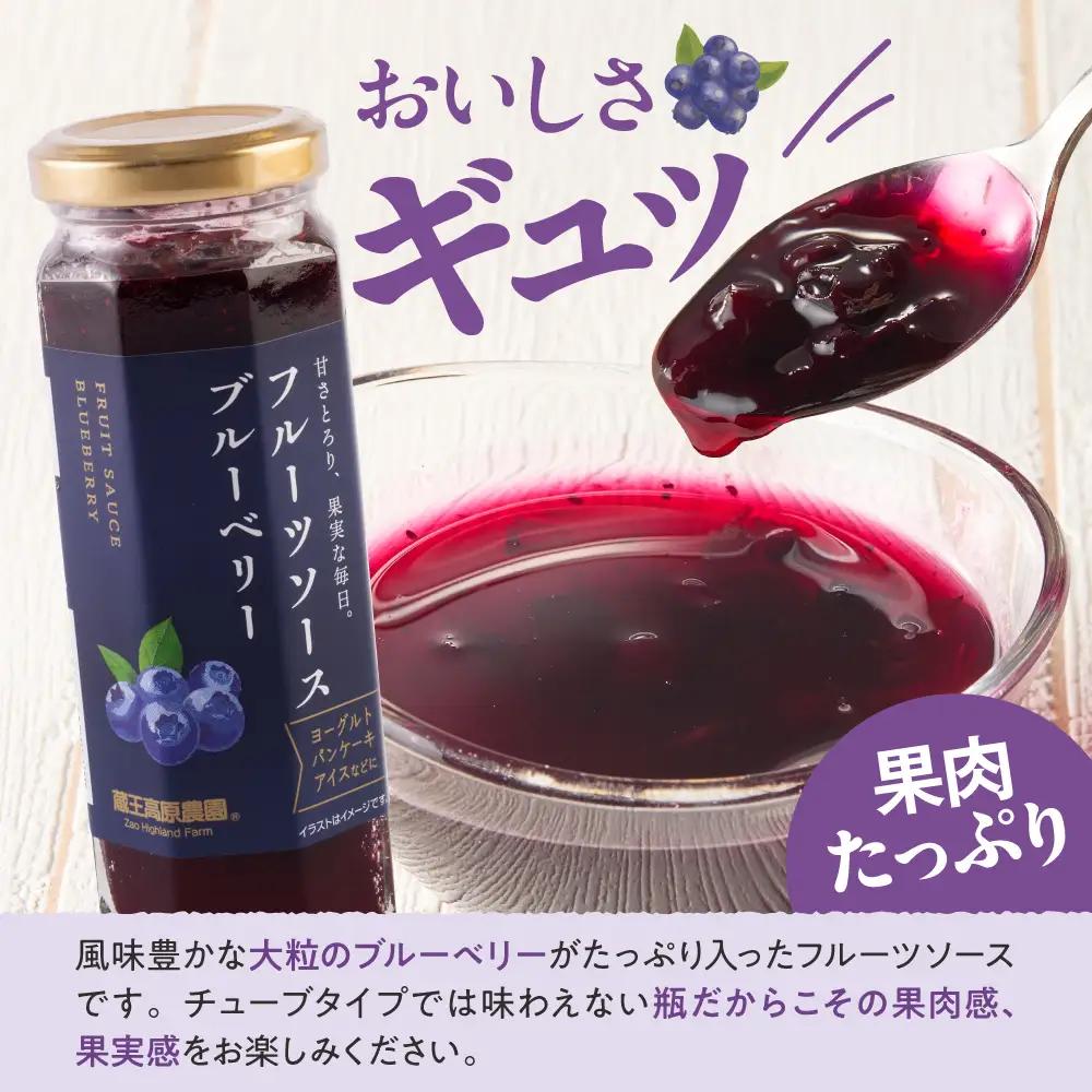 フルーツソース 160g ブルーベリー (12本) フルーツソース