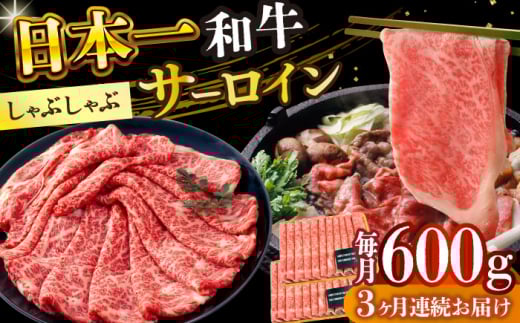 【全3回定期便】【厳選部位】【A4～A5】長崎和牛サーロインしゃぶしゃぶすき焼き用　600g（300g×2p）【株式会社 MEAT PLUS】 [DBS102]