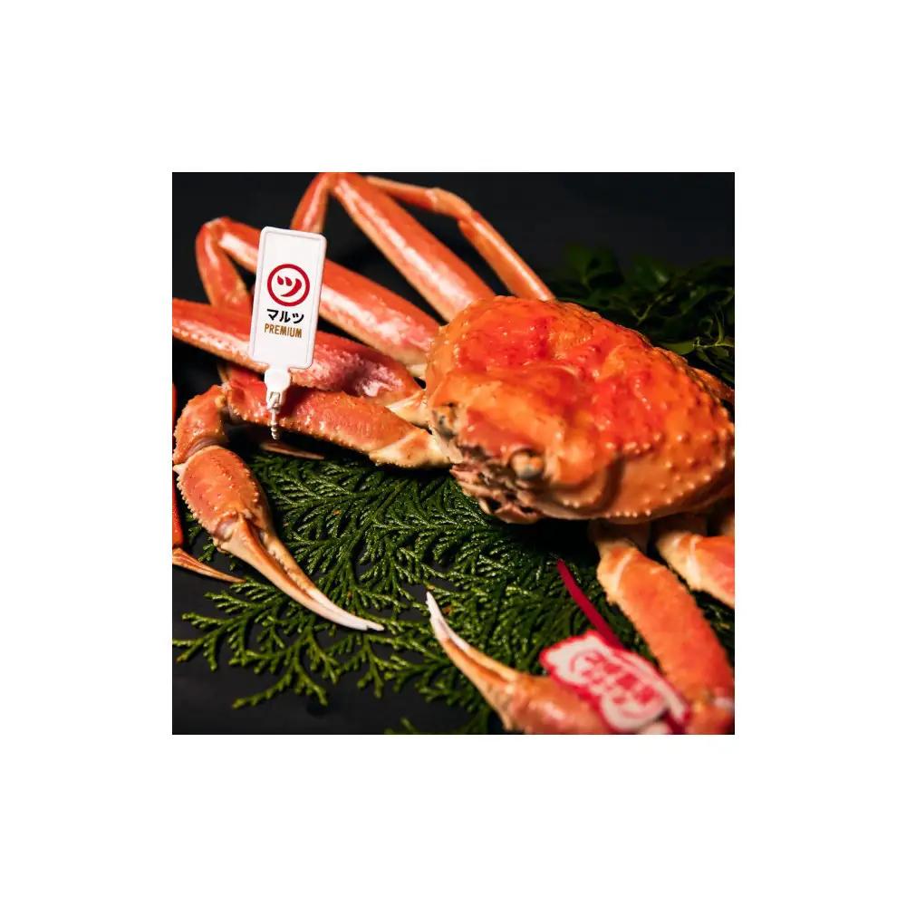 ＜平日着※指定日不可＞活〆ボイル松葉蟹(大/800g～) 【鳥取県 境港市】