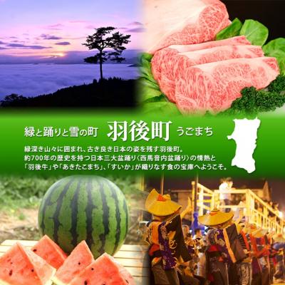ふるさと納税 羽後町 秋田県羽後町産あきたこまち 玄米 20kg×1袋[No.5325-0585] |  | 01