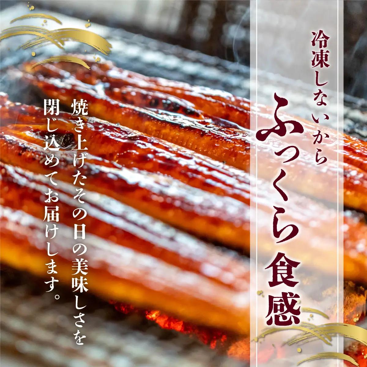 うなぎ蒲焼き 800g (200g×4尾) 