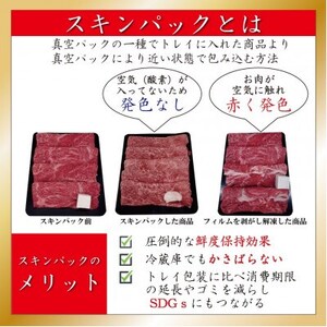 訳あり 神戸牛 焼肉(切り落とし)　500g×2　計1000g　SOY2S【配送不可地域：離島】【1517915】