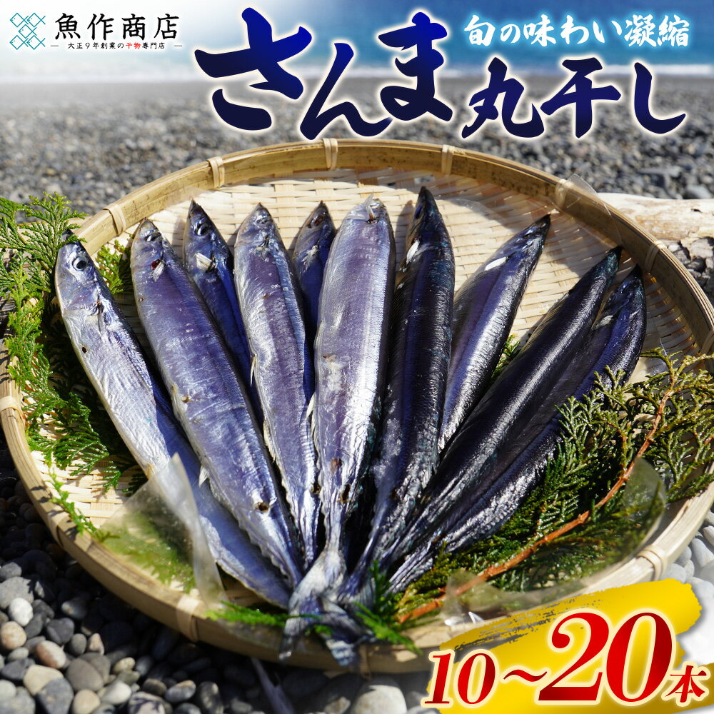 【ふるさと納税】 干物 さんま 丸干し 10本 20本 選べる容量 魚作商店3代目の丸干し製法 ひもの サンマ 秋刀魚 冷凍 海鮮 魚介類 特産品 焼き魚 魚 おかず おつまみ 三重県 熊野市 送料無料