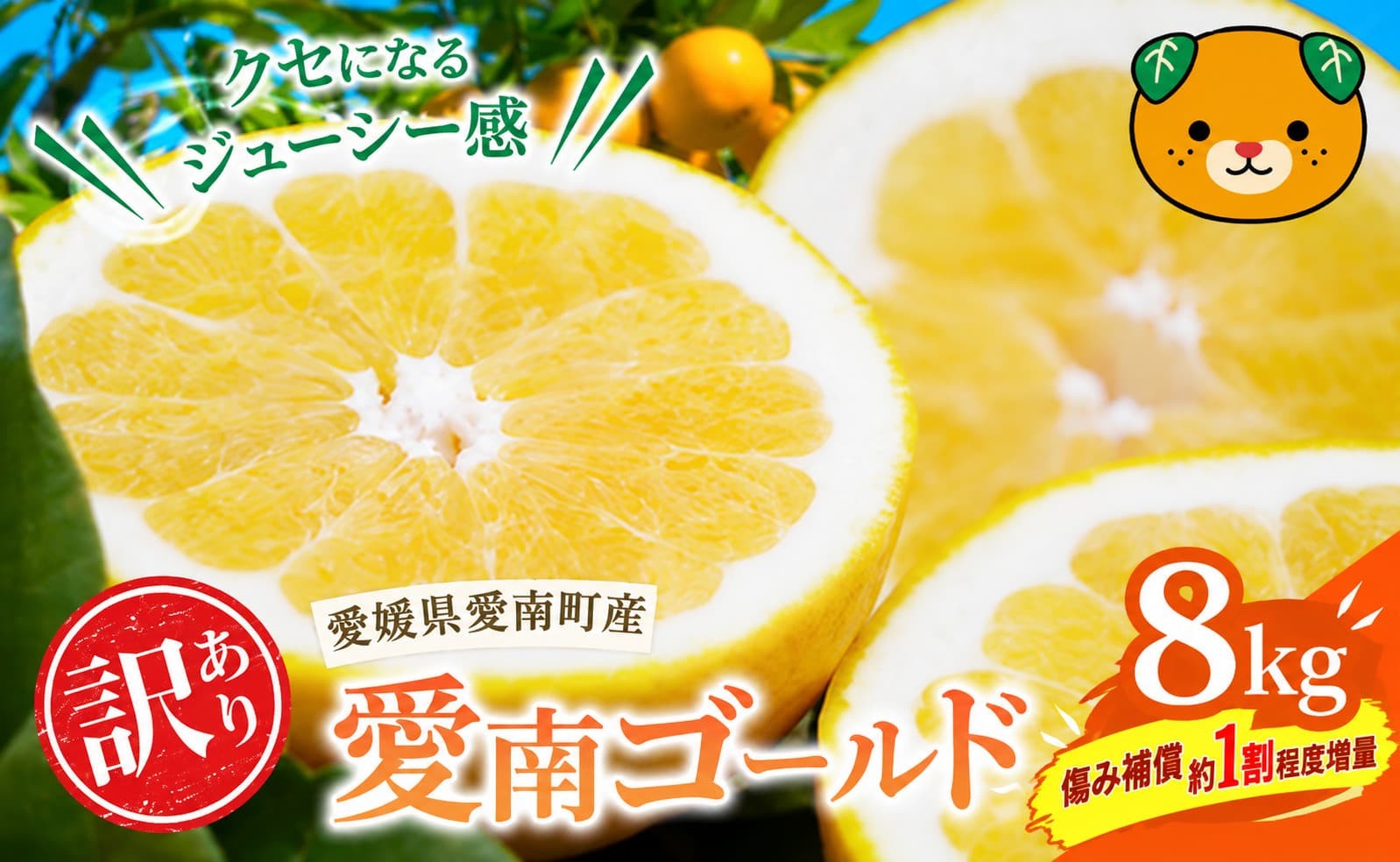 
                  【先行予約:2027年3月下旬から順次発送】【チョイス限定】  愛南ゴールド ( 河内晩柑 ) 8kg +傷み補償約1割程度増量 みかん 蜜柑 河内晩柑 和製 グレープフルーツ 傷 不揃い 規格外 常温 愛媛県 愛南町 青果市場 発送: 2027年3月下旬からなくなり次第終了
                