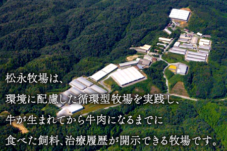 D-295 松永和牛A5ランク　最高級ヒレステーキ2枚