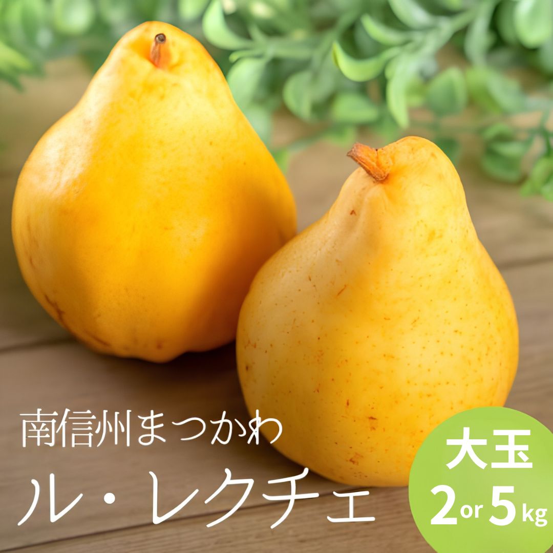 【ふるさと納税】稀少な洋梨 ル・レクチェ（大玉）約2kgor 約5kg／2026年11月中旬頃から配送　長野県　松川町産　贈答　KL03　KL04