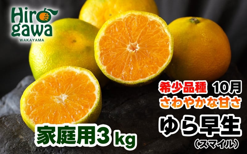 
            ▼和歌山由良町産 由良早生みかん 3kg 訳あり キズ 御家庭用 サイズ混合  【sml003-yura-c3A】
          