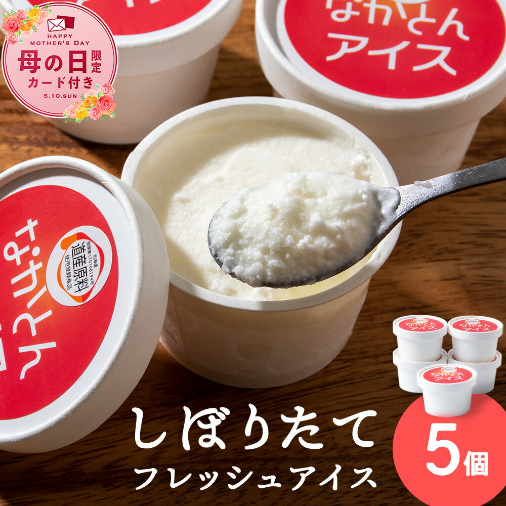 【ふるさと納税】アイス セット アイスクリーム 5個 ギフト スイーツアイス アイスクリーム 洋菓子 お菓子 スイーツ 牛乳 北海道牛乳 ふるさと納税 北海道 中頓別町 夏ギフト