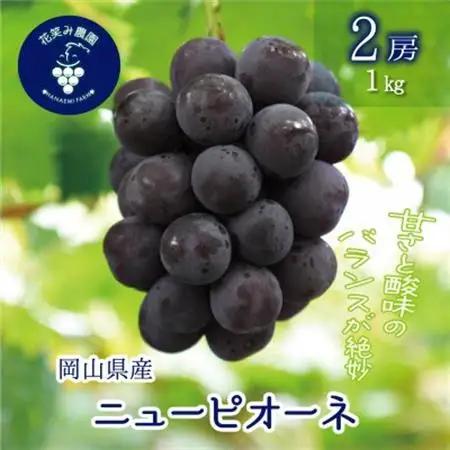 岡山　花笑み農園の『ニューピオーネ』1kg (2房) P-1【配送不可地域：離島】【1650729】