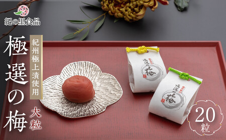 極選の梅 木箱 1箱20粒入り ［Kn12］