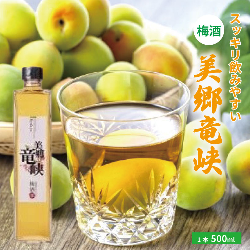 
            梅酒 美郷竜峡  500ml 1本 梅 ブレンド 梅酒 うめ 果物 フルーツ うめしゅ お酒 酒  果実酒 さけ ビール ハイボール チューハイ 焼酎 日本酒 ウイスキー ワイン ギフト 贈答 プレゼント 送料無料 徳島県 吉野川市
          