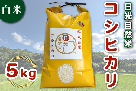 [数量限定／令和7年度米] 日光市産 コシヒカリ 白米 5kg《自然栽培米『日光自然米』／農薬不使用・化学肥料不使用》｜2025年度米 無農薬米 こしひかり オーガニック コシヒカリ 精米 お米 ごはん 日光産 国産 産地直送 [0820]