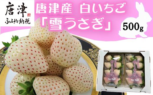 『予約受付』【令和7年2月中旬発送】唐津産 白いちご「雪うさぎ 」苺 イチゴ 希少 果物 フルーツ 脇山農園