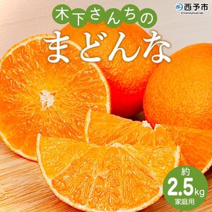 ＜木下さんちのまどんな 約2.5kg 家庭用＞ 柑橘類 みかん ミカン 果物 くだもの フルーツ 不揃い 愛媛果試第28号 特産品 マドンナ 木下農園 西宇和 愛媛県 西予市【常温】『2024年12月上旬〜12月下旬迄に順次出荷予定』MKS0001