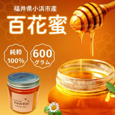 ふるさと納税 小浜市 はちみつOBAMA