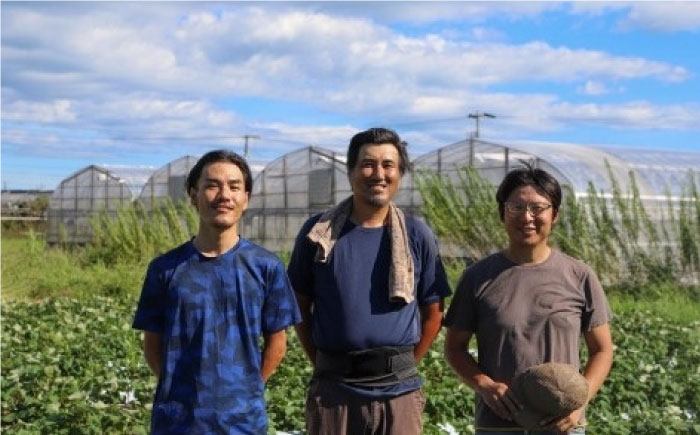 定期便 土佐の太陽をいっぱいに浴びた旬の野菜生姜約200gのセット「大」 (3回配送)【土佐野菜】 [ATBA014]