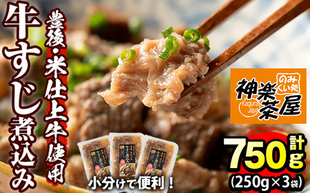 豊後米仕上げ牛 牛すじ煮込み(計750g・250g×3パック)牛肉 お肉 おかず おつまみ 小分け 簡単調理 時短 冷凍 惣菜【111100200】【神楽茶屋】