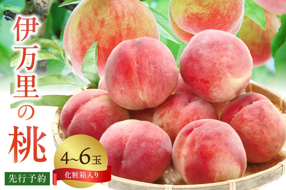 
            【先行予約】伊万里の桃 化粧箱入り（4～6玉） 178-B962
          