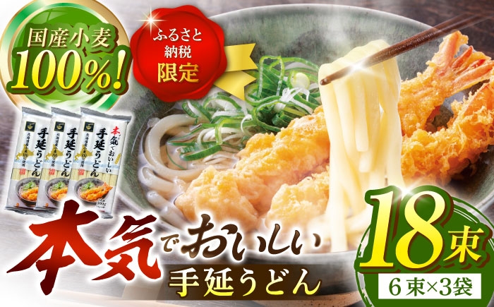 
                  うどん【ふるさと納税限定】＜北海道産小麦100%使用＞本気（マジ）でおいしい手延うどん  9人前 （50g×６束×３袋）/ うどん ウドン 饂飩 麺 めん 乾麺 ウドン 饂飩 麺 うどん めん 乾麺 / 南島原市 /  たなか物産 [SDY034]
                