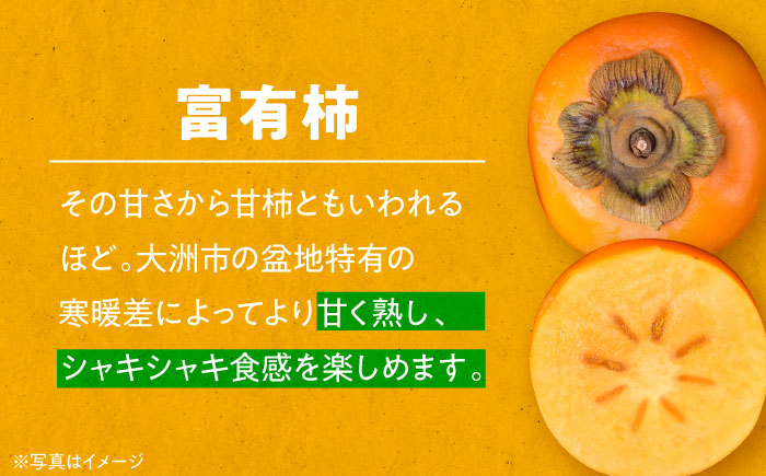 【先行予約】【11月初旬より順次発送】愛媛県産 富有（ふゆう）柿　Mから2Lサイズ 約5kg 箱入（15〜24玉）　愛媛県大洲市/沢井青果有限会社 [AGBN023]秋 フルーツ 果物 柿ジャム かき