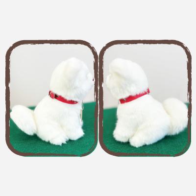 ふるさと納税 大館市 <よちよちあきた>秋田犬3種セットSサイズ(赤・白・虎) |  | 02