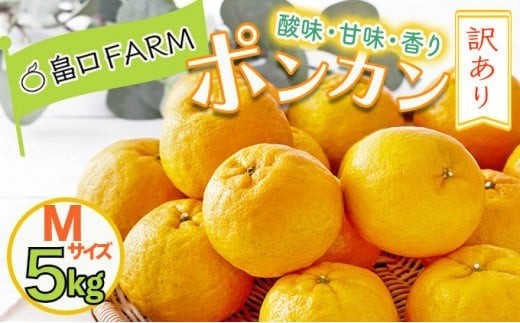 訳ありポンカン ＜5kg＞ Mサイズ