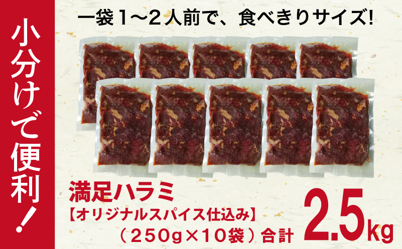 【満足牛ハラミ】オリジナルスパイス仕込み 合計2.5kg 【味付け ハラミ 小分け 焼くだけ 簡単調理 BBQ 牛肉 250g×10P】 099H3706