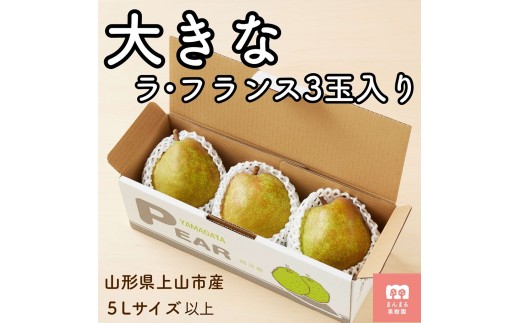 西洋梨（ラ・フランス）３玉　大玉　特秀品　0055-2608
