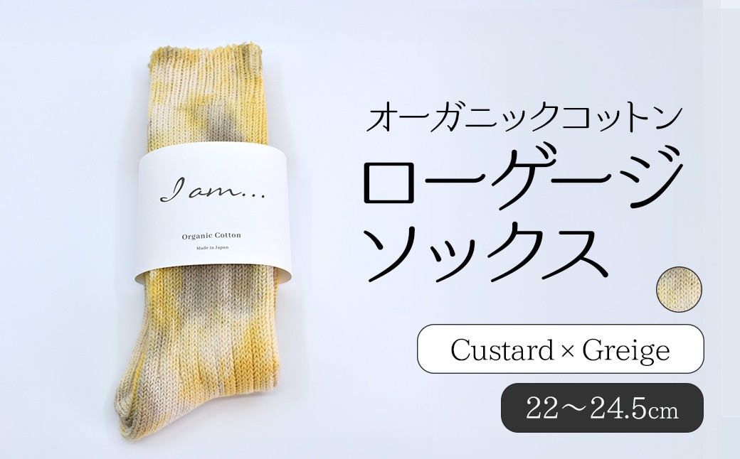 
                  オーガニックコットン　ローゲージソックス　Custard × Greige SHAO010
                