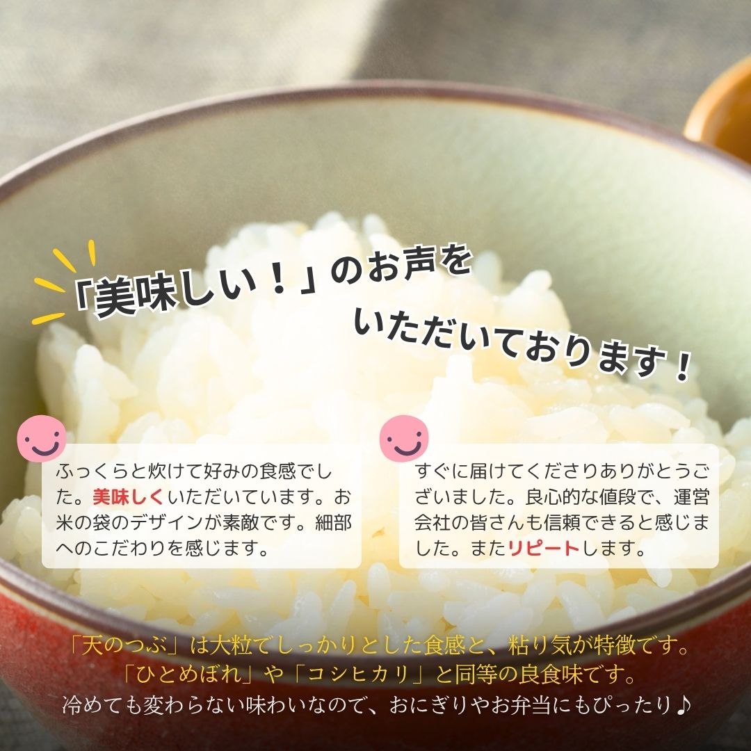 パックご飯 120食 (150g×24個×5ケース) 天のつぶ | パックご飯 ごはん パックごはん パックライス ごはんパック パック米 ご飯 レトルトご飯 レトルトごはん レンチン ブランド米 米