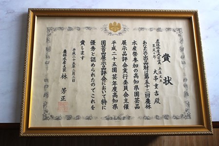 結(ゆい)果樹園の土佐文旦5kg家庭用 文旦 文旦