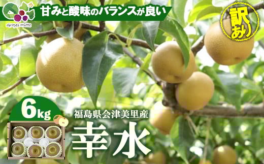 【先行受付】《訳あり》会津の美味しい梨 幸水 約6kg（10玉～12玉）◇｜ 期間限定 家庭用 梨 なし ナシ 果物 フルーツ 甘い ジューシー 果実 くだもの 国産 果実 会津美里町産 ※2025年8月下旬～9月上旬頃に順次発送予定