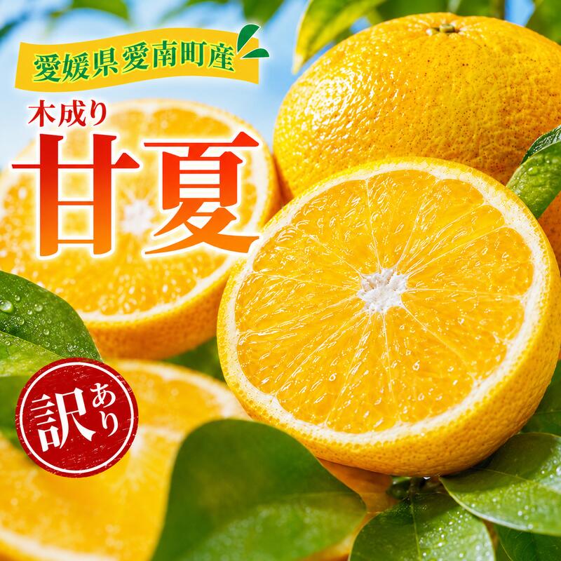 【ふるさと納税】 【先行予約：2027年3月～発送】 訳あり 甘夏 2kg~8kg +傷み補償分1割程度増量 柑橘 愛媛 みかん 温州 みかん あまなつ 国産 果物 くだもの フルーツ デザート ジュース 果実 果肉 果汁 産地 直送 産直 特産品 愛媛県 愛南町 愛南町青果市場