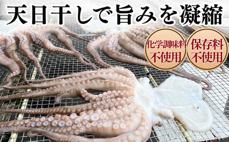 三河湾・知多半島産 天然 真蛸 天日干し 600g 小分け 岬だより たこ