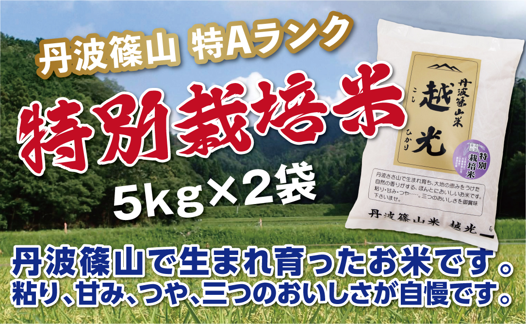 令和６年産 丹波篠山産　特Aランク　特別栽培米　越光（５ｋｇ×２袋）