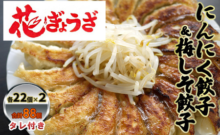 餃子 にんにく餃子 梅しそ餃子 各2袋 冷凍 餃子