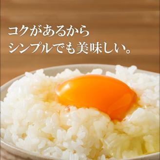 温泉水とこだわりのエサで育てた鶏のおいしい卵　20個（10個入×2パック）※18個+破卵保障2個