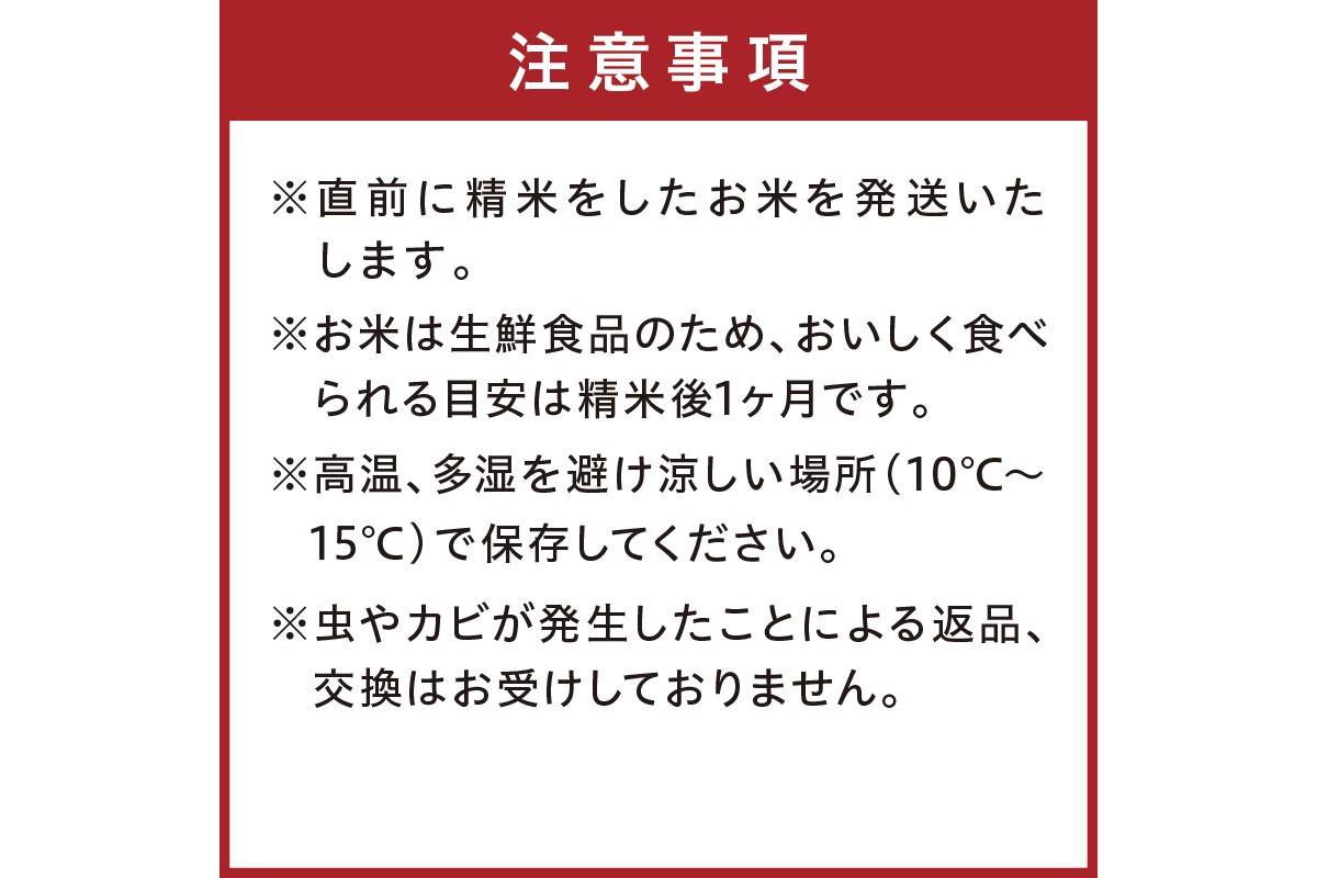 令和8年産 特別栽培米コシヒカリ 蔵人（くらんど） 玄米20kg 特別栽培米 コシヒカリ 蔵人 おこめ 京都産 ふるさと納税 玄米 ふるさと納税 コシヒカリ こしひかり　GF00026
