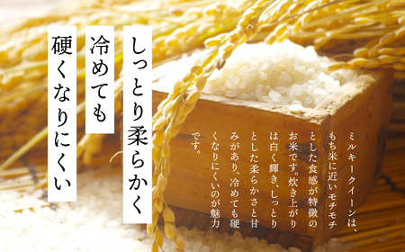 《2025年11月上旬以降順次発送》二本松市産ミルキークイーン5kg 米 精米 ミルキークイーン 5kg 特別栽培 お米 こめ おすすめ お中元 お歳暮 ギフト 二本松市 ふくしま 福島県 送料無料【