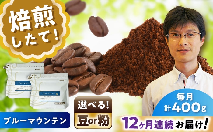 
                  【全12回定期便】【選べる豆 or 粉】ブルーマウンテンNo.1　200g×2個 / 珈琲 コーヒー / 瀬戸市 / Ｃｏｆｆｅｅ　ＳＡＫＵＲＡ [BBAB089]
                