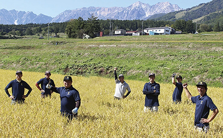 【令和7年度産】長野県小谷村百姓七人衆のあきたこまち【玄米】　３kg
