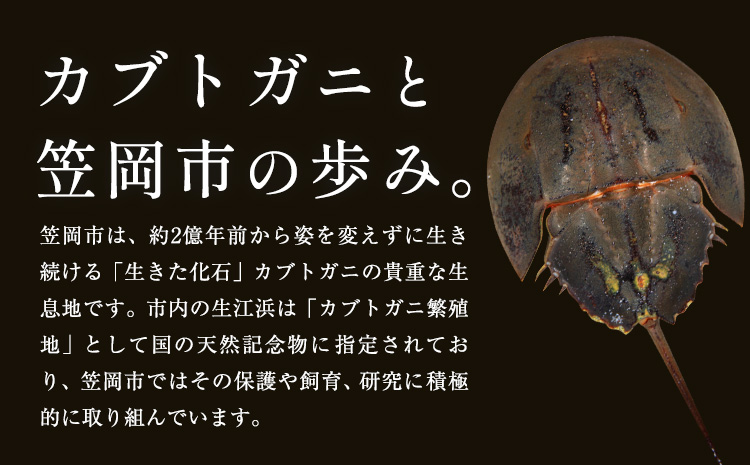 レザー 革製 カブトガニ タックピン 革 グリーン JS stage株式会社 《30日以内に出荷予定(土日祝を除く)》岡山県 笠岡市 ハンドメイド ファッション イタリアンレザー