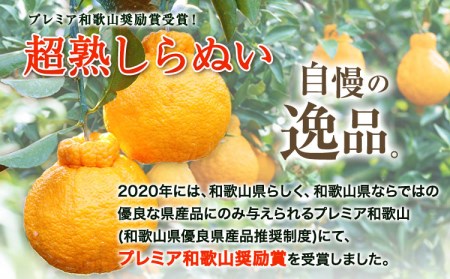 不知火 採れたて新鮮！ 濃厚な甘さ 超完熟しらぬい 3kg まるまつ農園《3月中旬-4月末頃出荷》  和歌山県 日高川町 不知火 柑橘 しらぬい  完熟