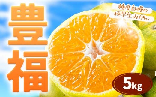 【先行予約】極早生みかん 「豊福」 5kg 箱入り 都呂々みかん生産者グループ《2026年10月中旬-11月下旬頃出荷》 フルーツ 果物 くだもの 柑橘 みかん ミカン 蜜柑 熊本県 苓北町【配送不可地域あり】