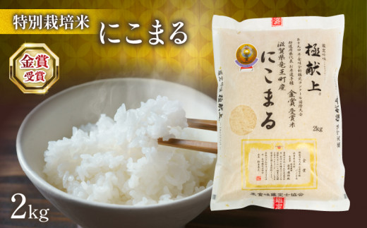 米 にこまる 2kg ( 令和7年産 2025年産米 ブランド 米 rice 精米 白米 ご飯 内祝い 十六代目米師又八 謹製 もちもち 国産 送料無料 滋賀県 竜王 ふるさと納税 )