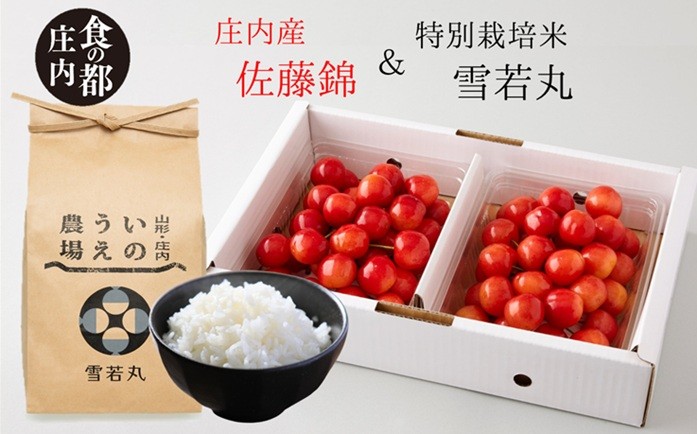 
                  食の都庄内　庄内産さくらんぼ「佐藤錦400g」＆特別栽培米2kg「雪若丸」セット　※令和8年6月中下旬頃発送予定
                
